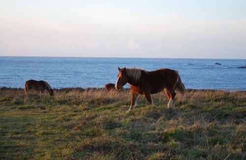 Landunvez Hotel | Charming, quiet and bright cottage 300 m from the beaches and 20 m from the GR34