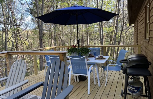 Asheville Cottage | Charming Renovated 3/2-Cottage with Hot Tub, Firepit and Fireplace.