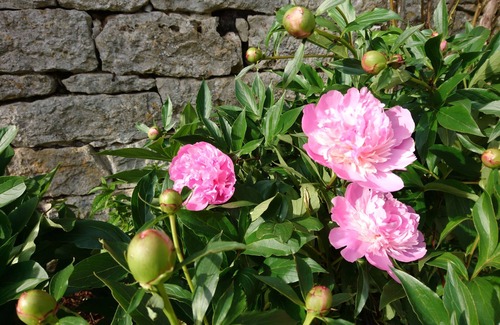 Turenne House | Charming Romantic Petit Chateau - all inclusive - in Turenne Centre