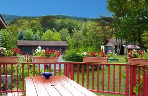 West Kill House | Charming, Roomy, Art-filled House Surrounded by Mountain Views/Natural Beauty