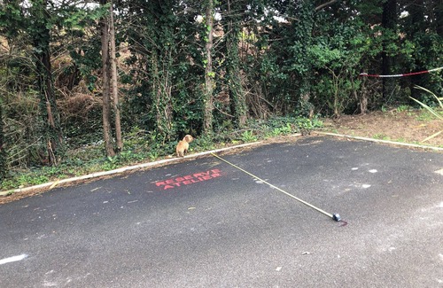 Kokotia Apartment | Charming sea view studio 200 m from cenitz mayarco beach Guéthary