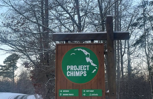Mineral Bluff Cabin | Charming Shared Cabin at Project Chimps Sanctuary