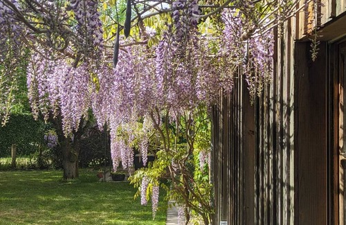 Saucats House | Charming stone house Charming Girondine house