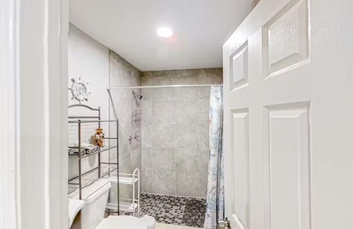 University Apartment | Charming studio Close to Bush Gardens and USF