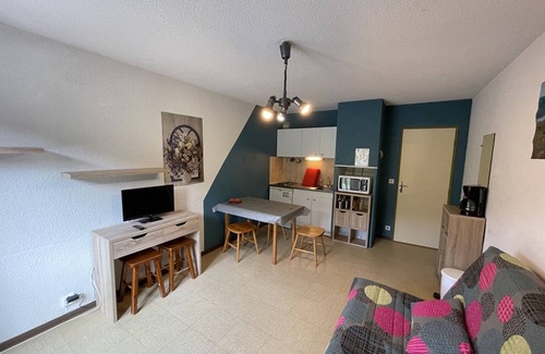 Laveissiere Apartment | Charming Studio Facing Ski Slopes - Pet Friendly, South Exposure