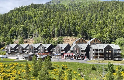 Laveissiere Apartment | Charming Studio Facing Ski Slopes - Pet Friendly, South Exposure