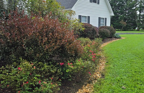 Andersonville Apartment | Charming studio in welcoming Dillwyn, near Farmville