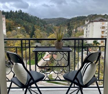 Chatel-Guyon Apartment | Charming studio peaceful stay