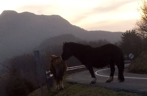 Urrugne Apartment | Charming T3 with large terrace between mountain and ocean