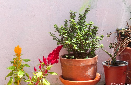 Bogota Apartment | Charming Three-Floor House in the Heart of Bogotá