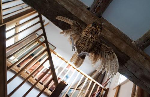 Wivenhoe House | Charming Tudor riverside house