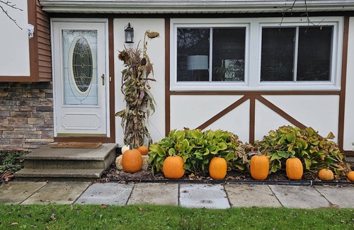 Clay House | Charming Tutor Style Split Level House in Quiet and Safe Neighborhood