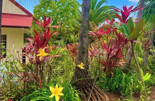 Ravine des Citrons House | Charming villa with jacuzzi, sauna, hammam, lush garden - 4 pers - L'Entre Deux