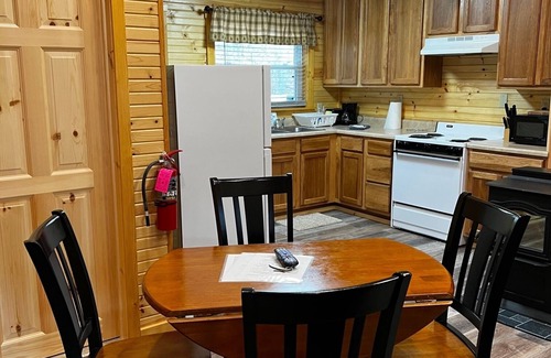 Elkins Cabin | Charming Yet Wild Cozy Retro Cabin Hot Tub, Sunroom, Fire Pit & Trout! Hiking!