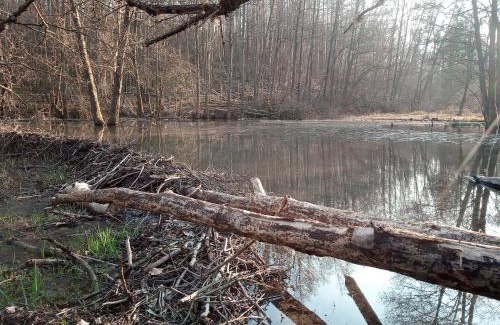 Somme-Leuze House | Chateau Brulant