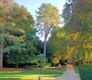 Belleme Bed & Breakfast | Chateau de la Grand'Maison