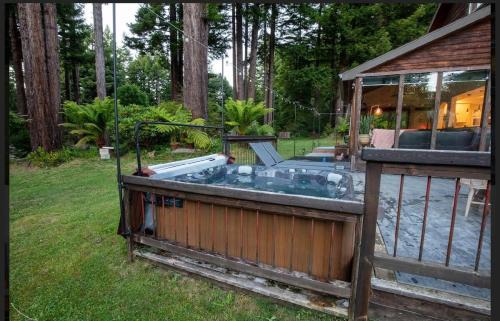 Trinidad House | Cheerful 3 bedroom home nestled in the redwoods