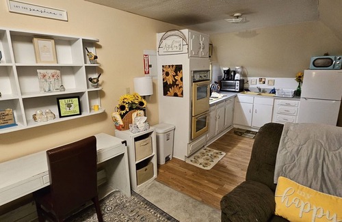 Old North Knoxville Apartment | Cheery Retro: Near Downtown Fun/5 Miles to UT!