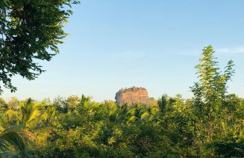 Sigiriya Resort | Chena Huts Eco Resort