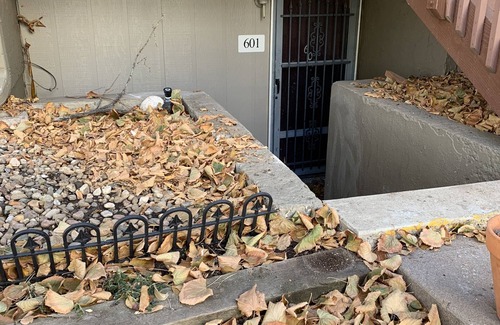 Glendale Condo | Cherry Creek Condo!