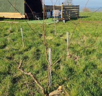 Welton Other | Cherry Trees Farm Campsite