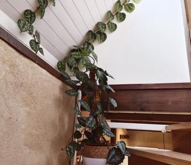 Plougasnou House | Chestnut - Charming cottage - Renovated 2024- Gîte de charme - Rénové 2024