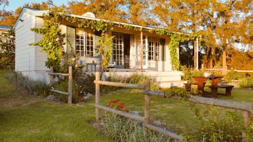 Grabouw House | Cheverells Farm, Kiku & Braeburn Cottage