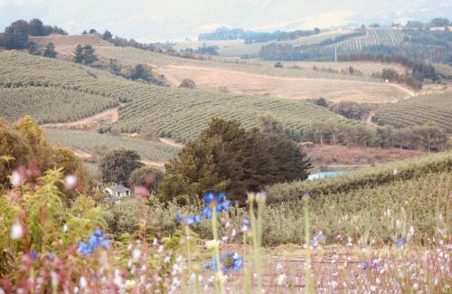 Grabouw House | Cheverells Farm, Kiku & Braeburn Cottage