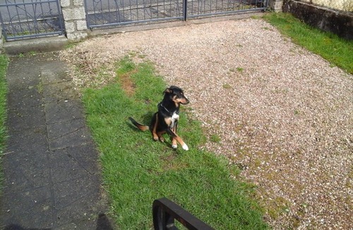 Verdun Bed & Breakfast | Chez Evelyne chambre d'hôtes chez l'habitant