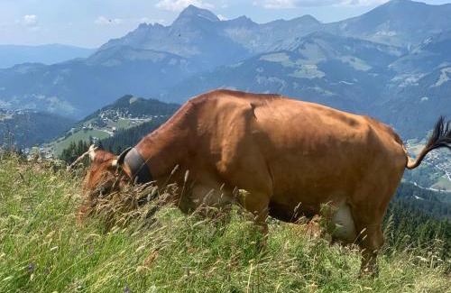 Notre-Dame-de-Bellecombe Apartment | Chez Francine