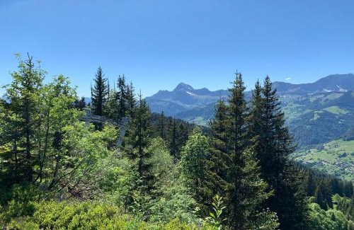 Notre-Dame-de-Bellecombe Apartment | Chez Francine