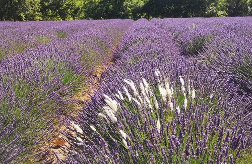 Sainte-Croix-du-Verdon Apartment | Chez Géraldine .
