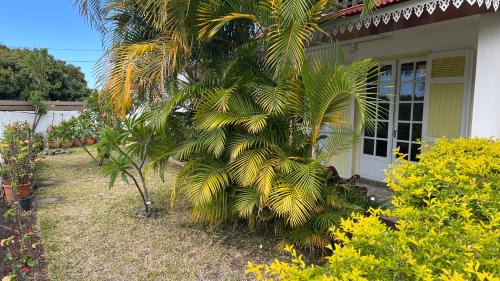 La Riviere Saint-Louis House | Chez Gilou