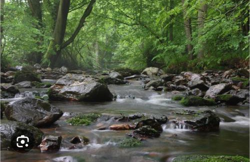 Verviers Apartment | Chez Gold
