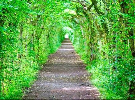 Verviers Apartment | Chez Gold