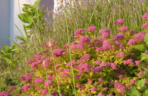 Wissant House | Chez Grace maison de vacances pour 8 personnes