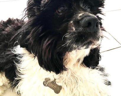 Buzet-sur-Tarn House | Chez Ludivine