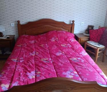 Sarralbe House | Chez mamie