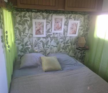 Maxent Other | Chez Vallye