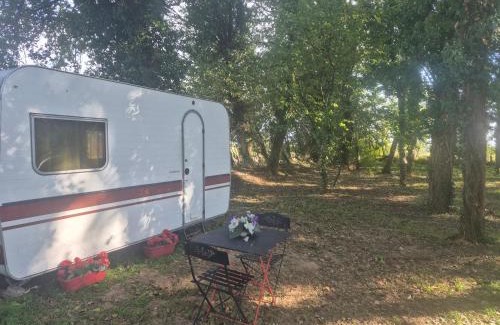 Maxent Other | Chez Vallye