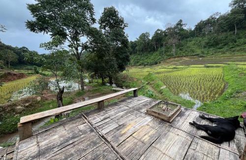 Samoeng House | Chibacall ชิบะคอล Karen Mountains Hideaway Homestay