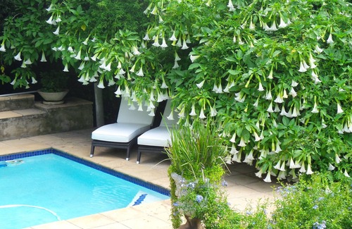 Greater Johannesburg Metropolitan Area House | Chic Afro-Mod 2 room suite