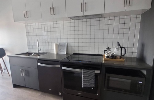 Bridgeland Condo | Chic Bridgeland 1 BR condo wt prkng sleeps 4 5 min to DT