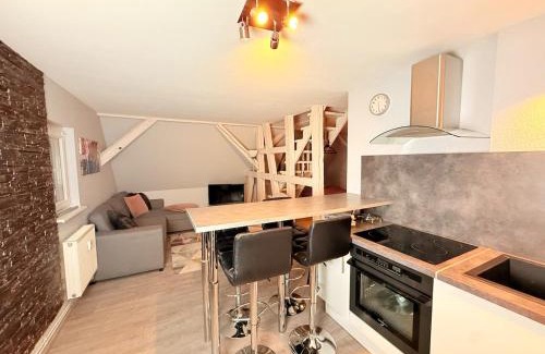Haguenau Apartment | Chic&Cosy - Vue exceptionnelle - Centre Haguenau