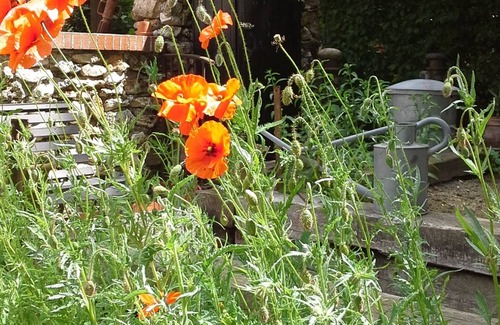 Chalifert House | Chic country spirit 10 mins (vhl) from Disneyland Paris