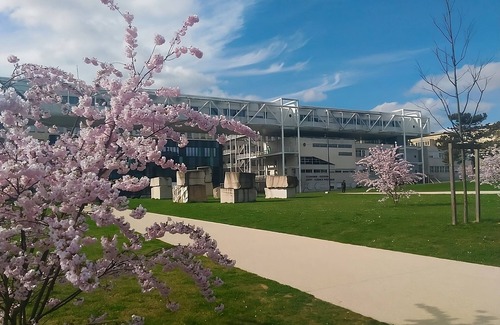 Dijon Hotel | Chic Dijon Suite in University Quarter – Garden, Free Parking & Pet Friendly!