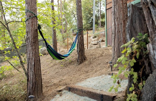 Bass Lake Cabin | chic old style cabin, forest suite & dome lake front. Private beach and own dock