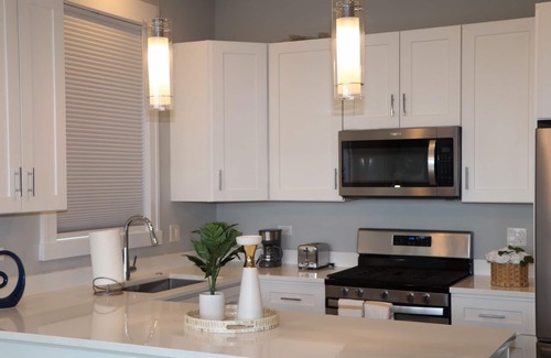 Tri-Taylor Apartment | Chicago Oasis - Near United Center & Downtown