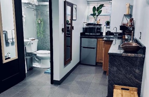 Heart of Chicago Apartment | Chicago - Pilsen Studio apartment - Unit B