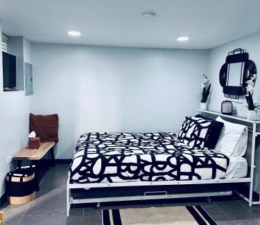 Heart of Chicago Apartment | Chicago - Pilsen Studio apartment - Unit B